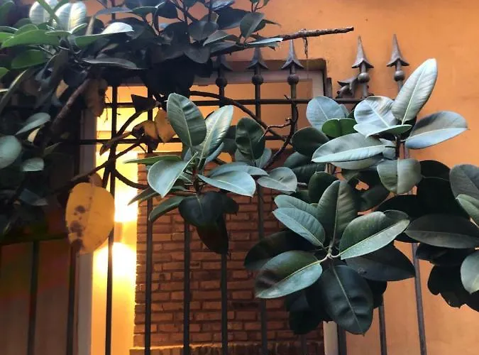 Pantheon, Campo De Fiori Mini Garden Appartement